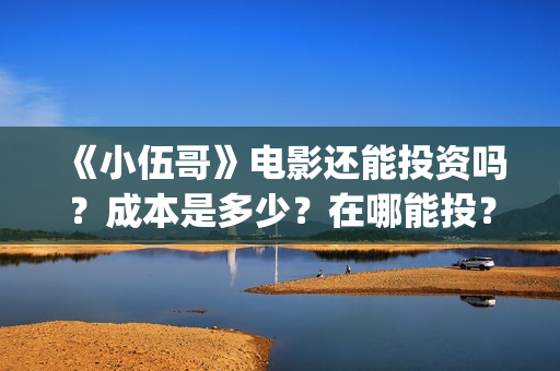 《小伍哥》电影还能投资吗？成本是多少？在哪能投？份额还有吗？(小伍哥在线观看)