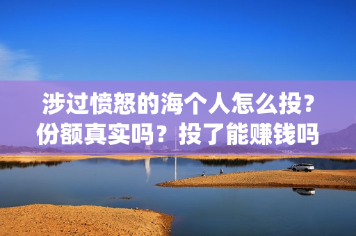 涉过愤怒的海个人怎么投？份额真实吗？投了能赚钱吗？(涉过愤怒的海 海报)
