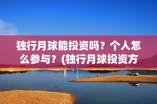 独行月球能投资吗？个人怎么参与？(独行月球投资方)