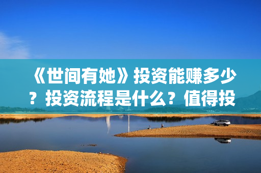 《世间有她》投资能赚多少？投资流程是什么？值得投资吗？(世间有她上映)