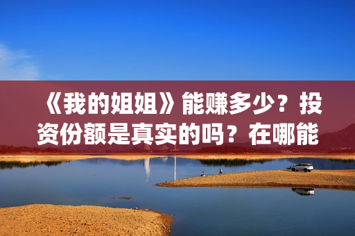 《我的姐姐》能赚多少？投资份额是真实的吗？在哪能投？(《我的姐姐》怎么样)
