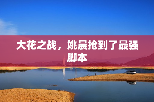 大花之战，姚晨抢到了最强脚本