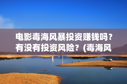 电影毒海风暴投资赚钱吗？有没有投资风险？(毒海风暴 电影)