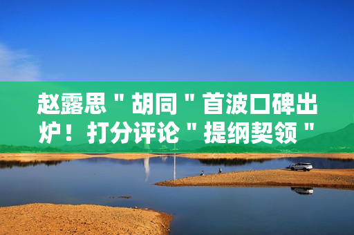 赵露思＂胡同＂首波口碑出炉！打分评论＂提纲契领＂