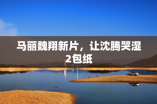 马丽魏翔新片，让沈腾哭湿2包纸