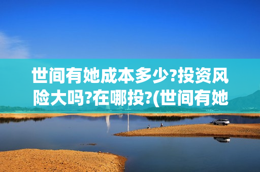 世间有她成本多少?投资风险大吗?在哪投?(世间有她投资成本)
