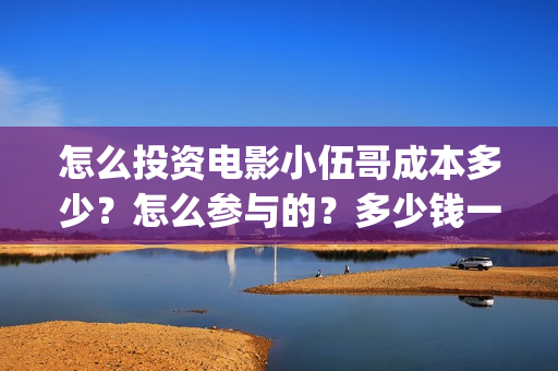 怎么投资电影小伍哥成本多少？怎么参与的？多少钱一份(怎么投资电影小说公司)