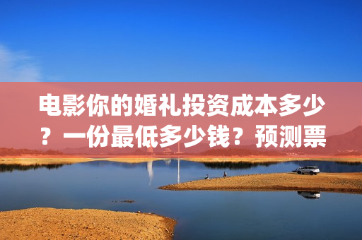 电影你的婚礼投资成本多少？一份最低多少钱？预测票房怎么样？(你的婚礼电影主演)