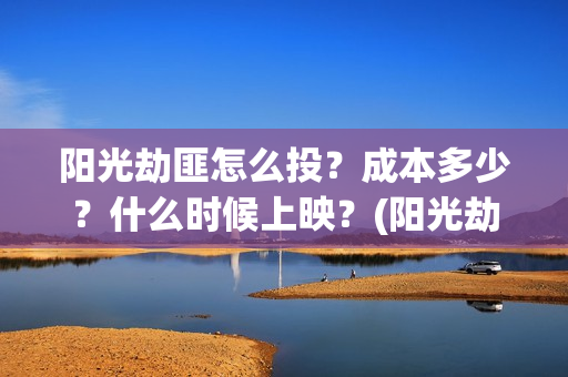 阳光劫匪怎么投？成本多少？什么时候上映？(阳光劫匪在哪里)