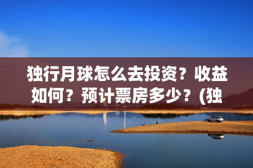 独行月球怎么去投资？收益如何？预计票房多少？(独行月球剧情)