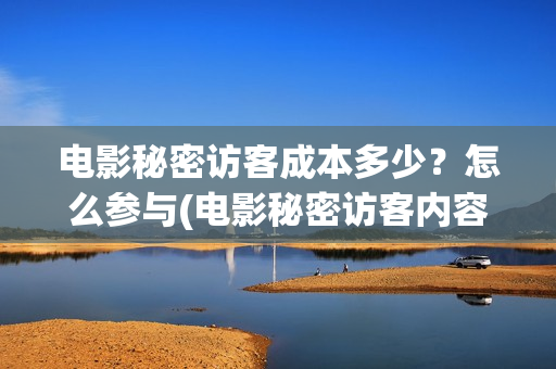 电影秘密访客成本多少？怎么参与(电影秘密访客内容)