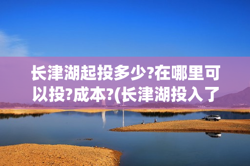 长津湖起投多少?在哪里可以投?成本?(长津湖投入了多少)