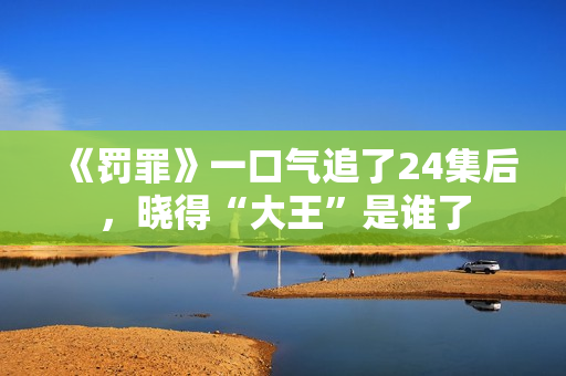 《罚罪》一口气追了24集后，晓得“大王”是谁了