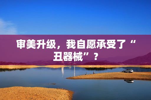 审美升级，我自愿承受了“丑器械”？
