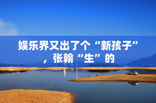 娱乐界又出了个“新孩子”，张翰“生”的