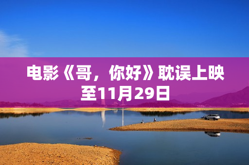 电影《哥，你好》耽误上映至11月29日