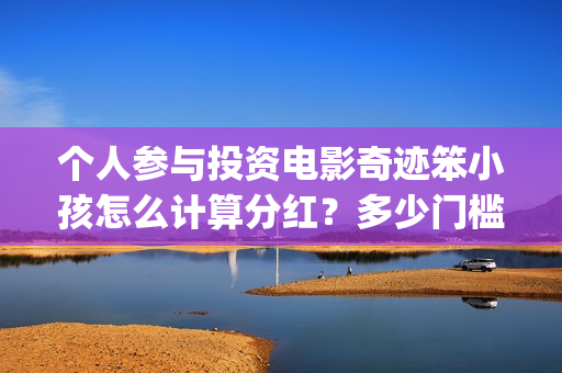 个人参与投资电影奇迹笨小孩怎么计算分红？多少门槛起投？(个人投资者参与)