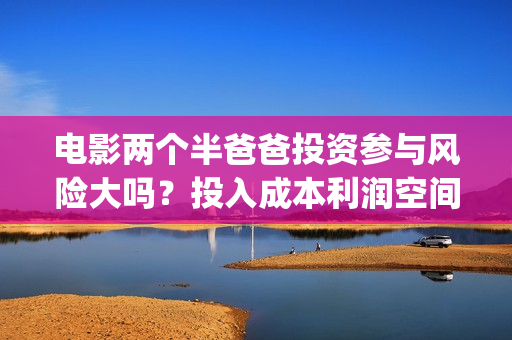电影两个半爸爸投资参与风险大吗？投入成本利润空间如何？(两个半爸爸上映时间)