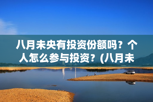 八月未央有投资份额吗？个人怎么参与投资？(八月未央总投资)
