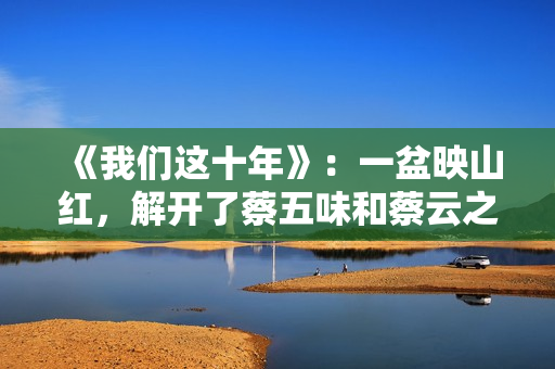 《我们这十年》：一盆映山红，解开了蔡五味和蔡云之间的父女情仇