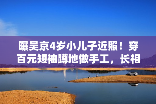 曝吴京4岁小儿子近照！穿百元短袖蹲地做手工，长相心爱太像谢楠