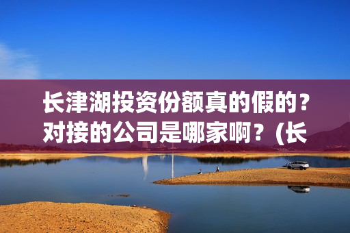 长津湖投资份额真的假的？对接的公司是哪家啊？(长津湖投资额度)