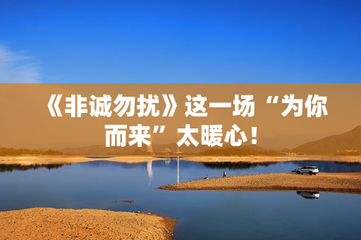 《非诚勿扰》这一场“为你而来”太暖心！