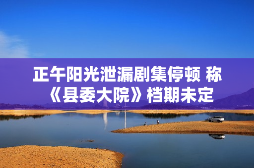 正午阳光泄漏剧集停顿 称《县委大院》档期未定