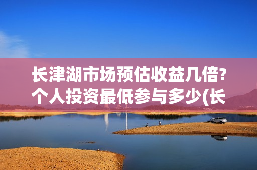 长津湖市场预估收益几倍?个人投资最低参与多少(长津湖涨价)