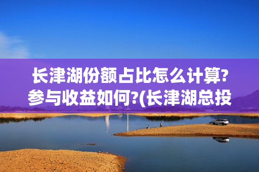 长津湖份额占比怎么计算?参与收益如何?(长津湖总投入)