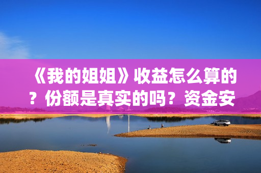 《我的姐姐》收益怎么算的？份额是真实的吗？资金安全有保障吗？(《我的姐姐》口碑)