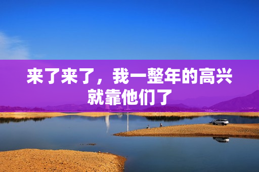 来了来了，我一整年的高兴就靠他们了