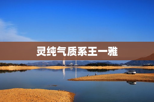 灵纯气质系王一雅