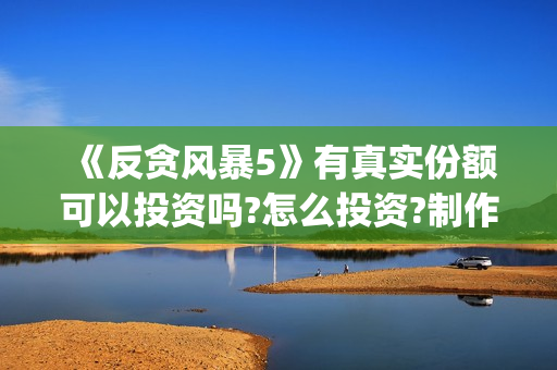 《反贪风暴5》有真实份额可以投资吗?怎么投资?制作成本多少?(反贪风暴5演员表)