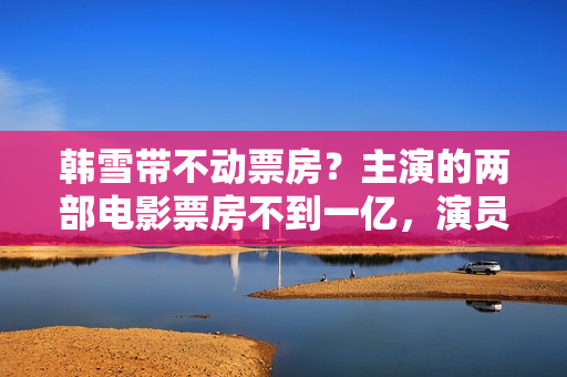 韩雪带不动票房？主演的两部电影票房不到一亿，演员不是首要成绩