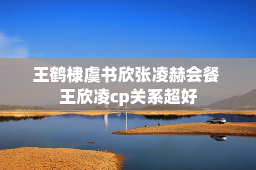 王鹤棣虞书欣张凌赫会餐 王欣凌cp关系超好