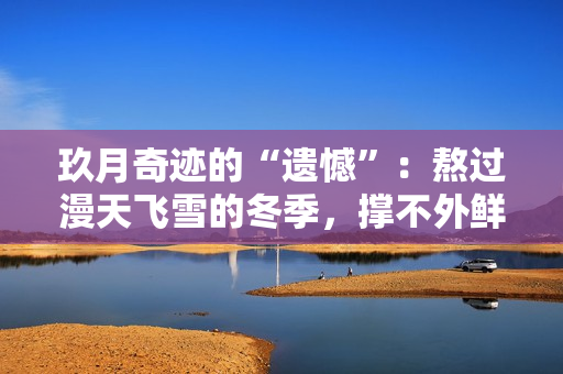 玖月奇迹的“遗憾”：熬过漫天飞雪的冬季，撑不外鲜花灿烂的炎天