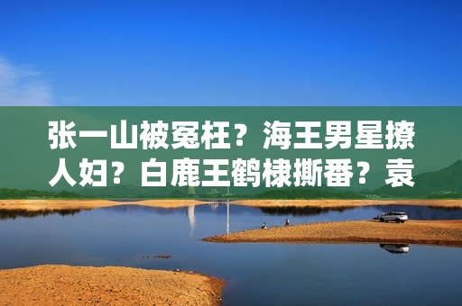 张一山被冤枉？海王男星撩人妇？白鹿王鹤棣撕番？袁冰妍复出？刘浩存搭上于正？