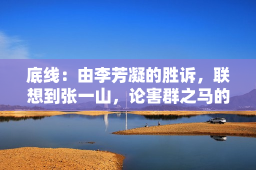 底线：由李芳凝的胜诉，联想到张一山，论害群之马的风险！