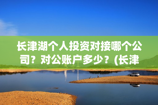 长津湖个人投资对接哪个公司？对公账户多少？(长津湖投资额度)