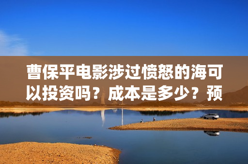 曹保平电影涉过愤怒的海可以投资吗？成本是多少？预估票房？  (曹保平的经典电影)