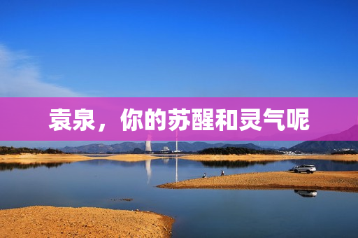 袁泉，你的苏醒和灵气呢