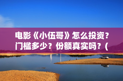 电影《小伍哥》怎么投资？门槛多少？份额真实吗？(小伍哥在线观看)