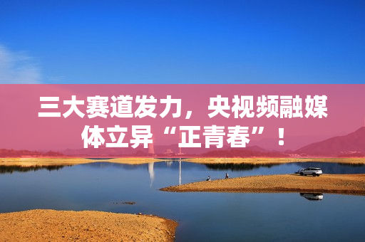 三大赛道发力，央视频融媒体立异“正青春”！