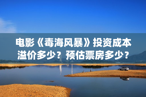 电影《毒海风暴》投资成本溢价多少？预估票房多少？怎么投资? (电影《毒海风暴》在线观看)