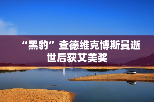 “黑豹”查德维克博斯曼逝世后获艾美奖