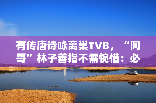 有传唐诗咏离巢TVB，“阿哥”林子善指不需惋惜：必然支撑