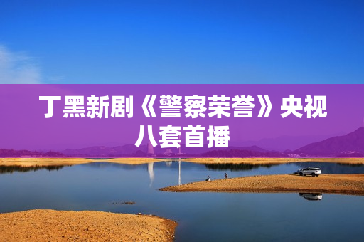 丁黑新剧《警察荣誉》央视八套首播