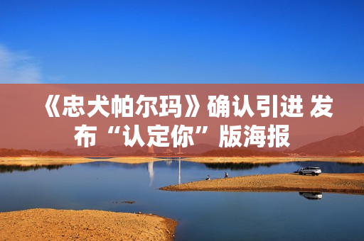 《忠犬帕尔玛》确认引进 发布“认定你”版海报 《忠犬帕尔玛》确认引进 发布“认定你”版海报