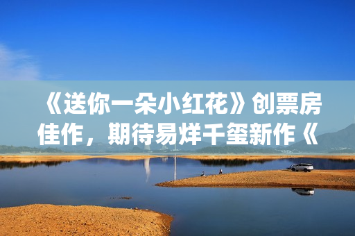 《送你一朵小红花》创票房佳作，期待易烊千玺新作《长津湖》 (送你一朵小红花)